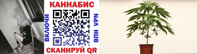 Наркошоп купить Alpha-PVP  МЕТАДОН  Конопля  МЕФ  Асино