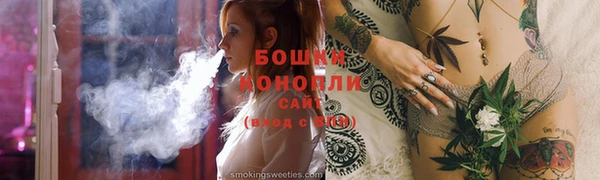 ГАЛЛЮЦИНОГЕННЫЕ ГРИБЫ Вязники