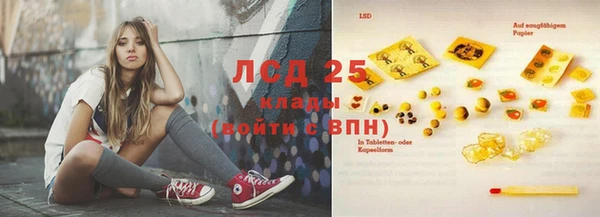 ГАЛЛЮЦИНОГЕННЫЕ ГРИБЫ Вязники