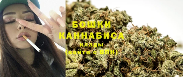 ГАЛЛЮЦИНОГЕННЫЕ ГРИБЫ Вязники