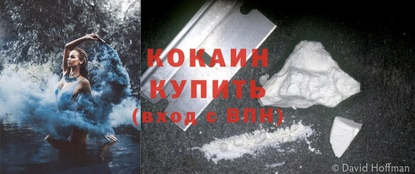 ГАЛЛЮЦИНОГЕННЫЕ ГРИБЫ Вязники
