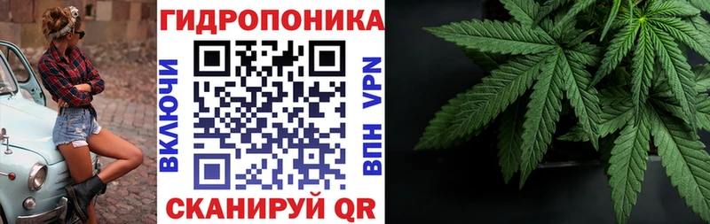 Каннабис MAZAR Асино